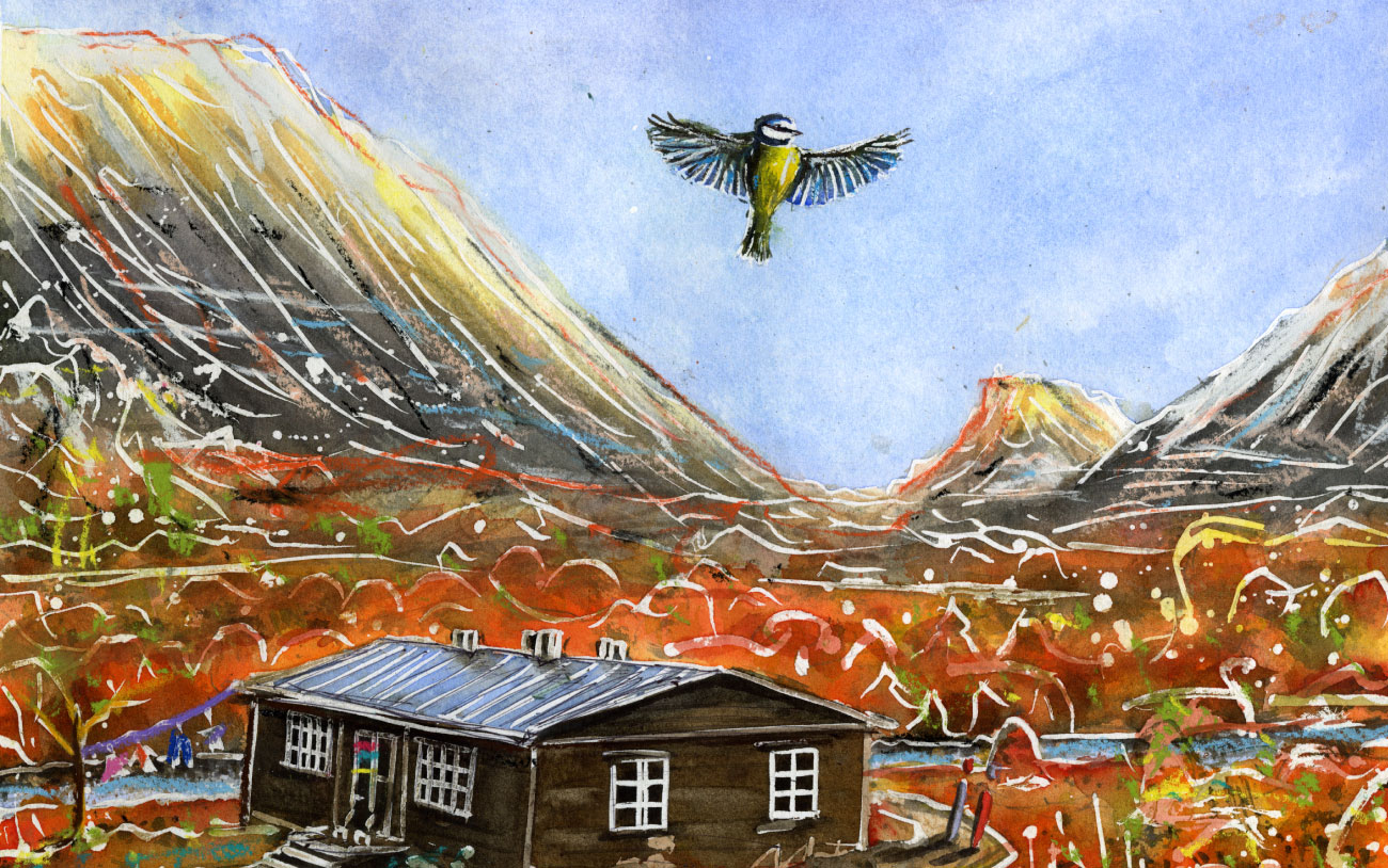 北欧をイメージしたイラスト