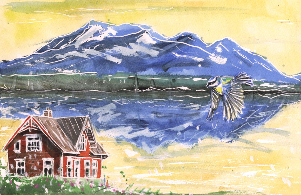 北欧の夏をイメージしたイラスト